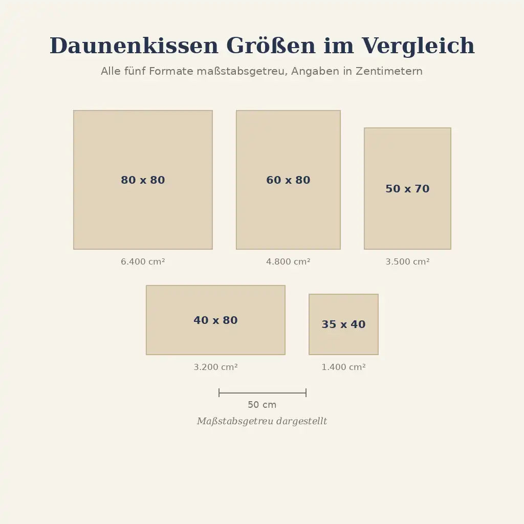 Grafik: Daunenkissen Größen von 35x40 bis 80x80 maßstabsgetreu im Vergleich