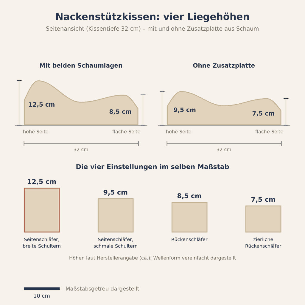 Grafik: Wie hoch sollte ein Nackenkissen sein – die vier Liegehöhen 12,5, 9,5, 8,5 und 7,5 cm im maßstabsgetreuen Profil
